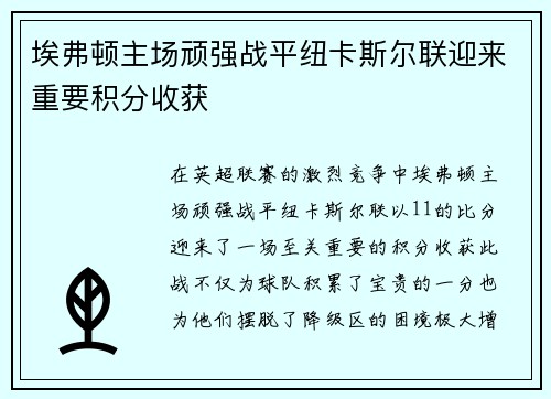 埃弗顿主场顽强战平纽卡斯尔联迎来重要积分收获